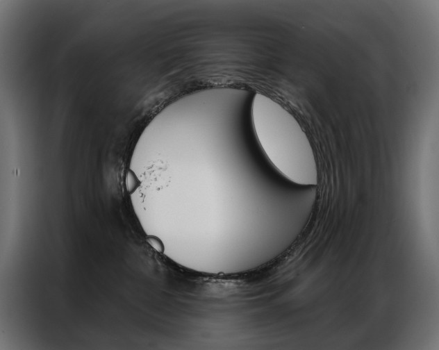 X0000086950332200704161102