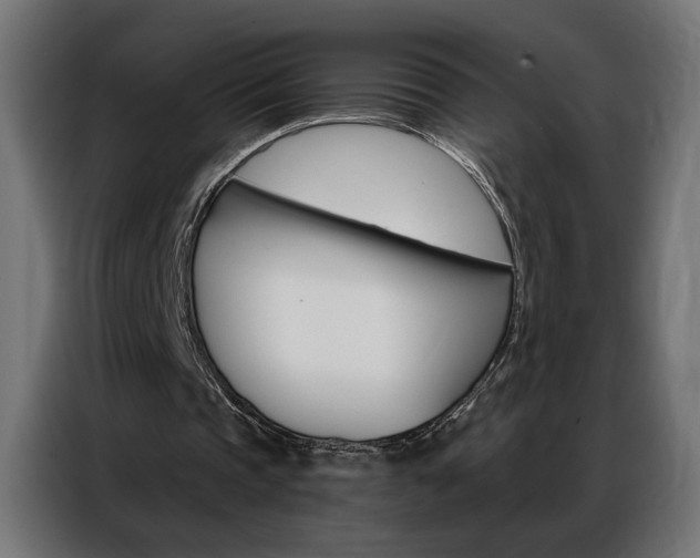 X0000086950337200704161102