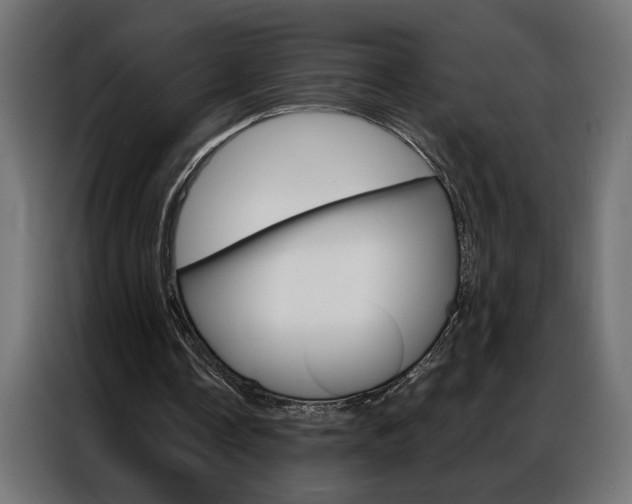 X0000086950338200704161102