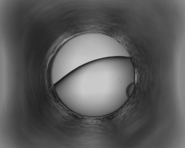 X0000086950339200704161102