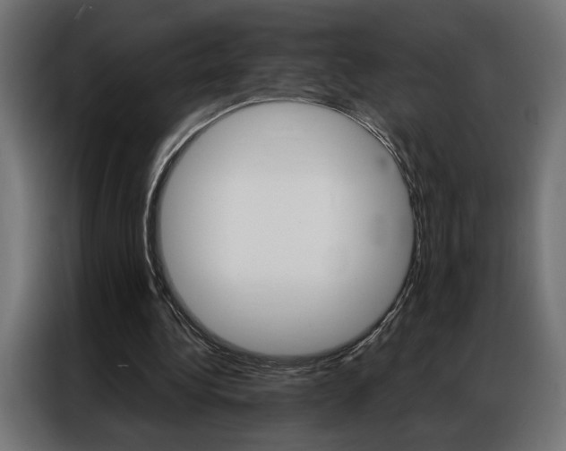 X0000086950340200704161102