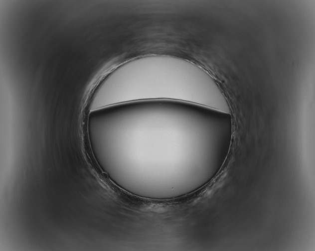 X0000086950341200704161102