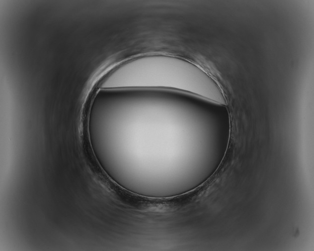X0000086950344200704161102