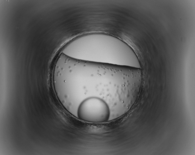 X0000086950346200704161102