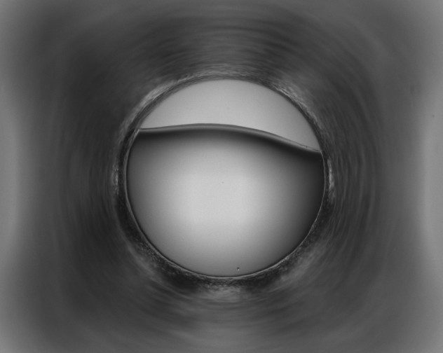 X0000086950348200704161102