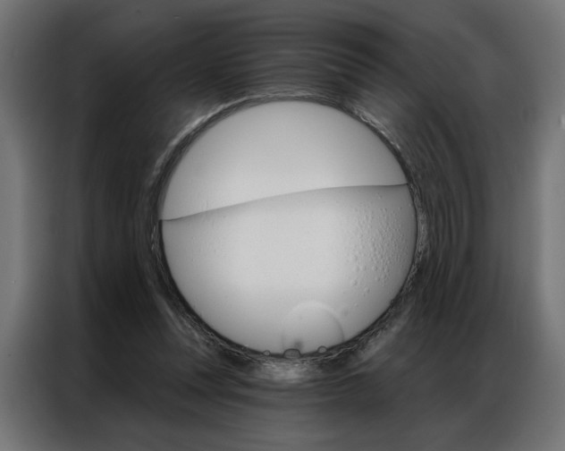 X0000086950351200704161102