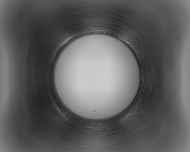 X0000086950352200704161102