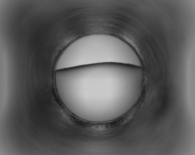 X0000086950353200704161102