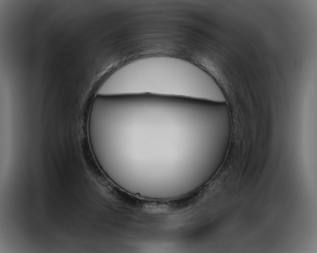 X0000086950354200704161102