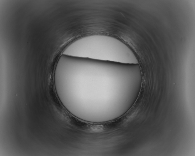 X0000086950355200704161102