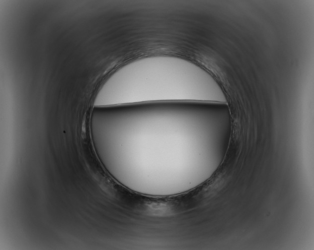 X0000086950358200704161102