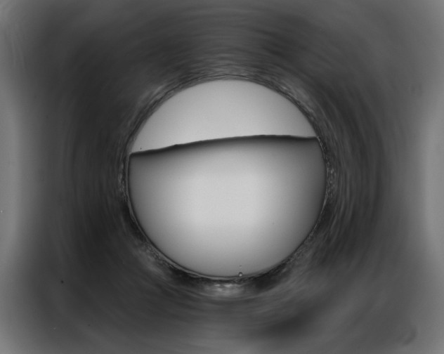X0000086950361200704161102