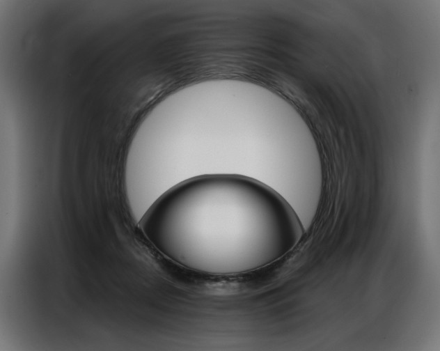 X0000086950362200704161102