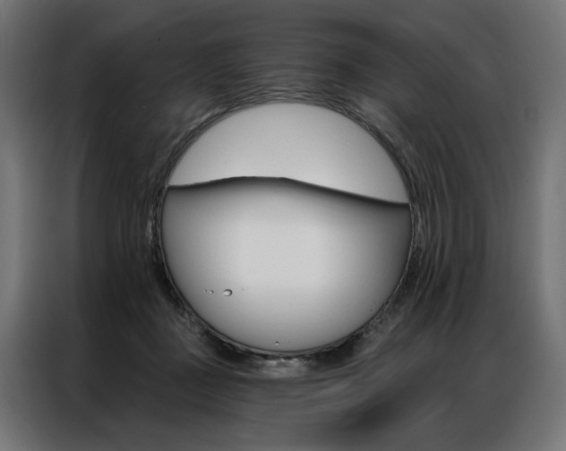 X0000086950363200704161102