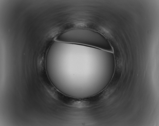 X0000086950364200704161102