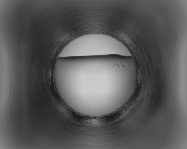 X0000086950365200704161102