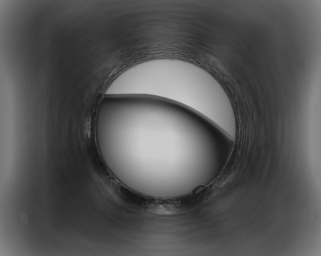 X0000086950368200704161102