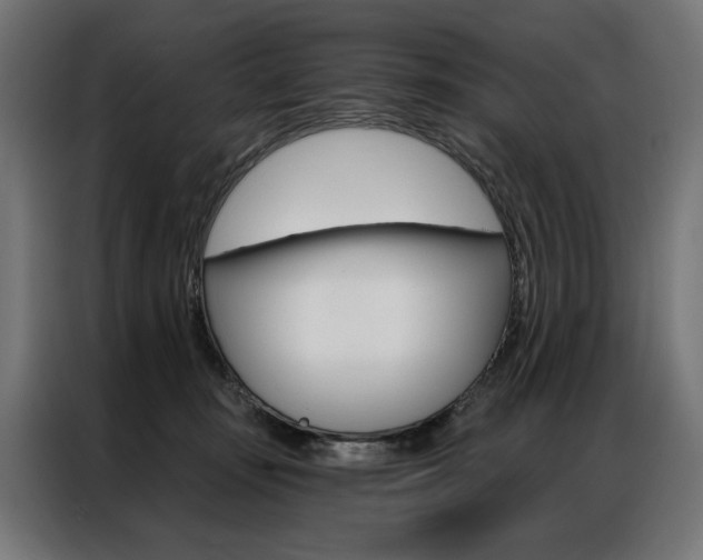 X0000086950371200704161102