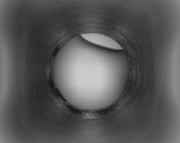 X0000086950372200704161102