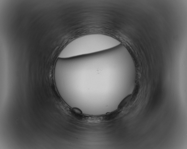 X0000086950373200704161102