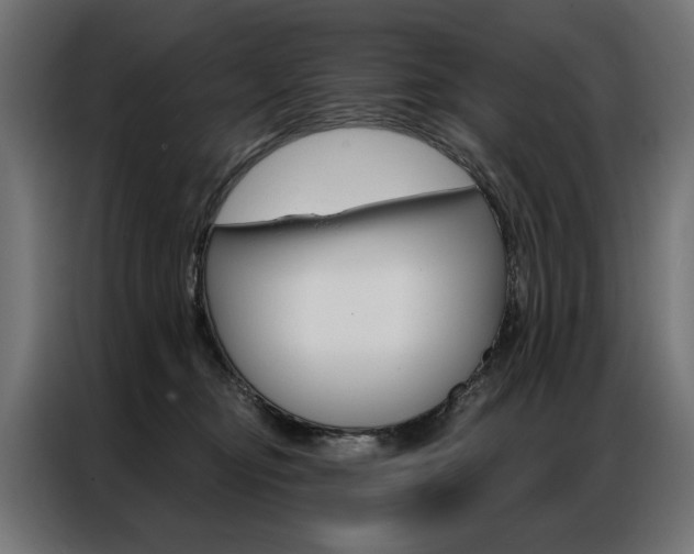 X0000086950374200704161102