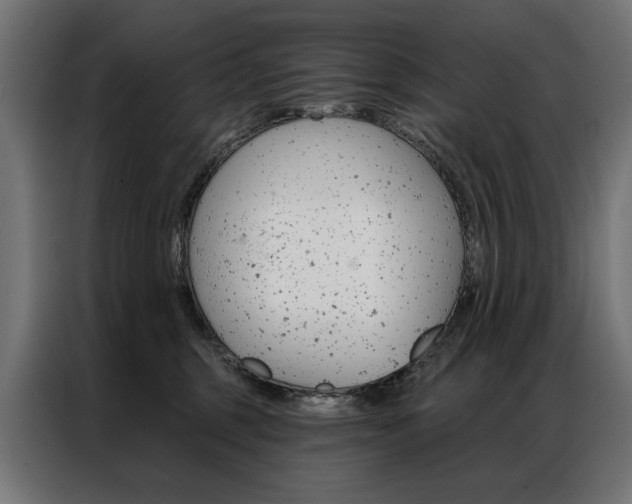 X0000086950375200704161102