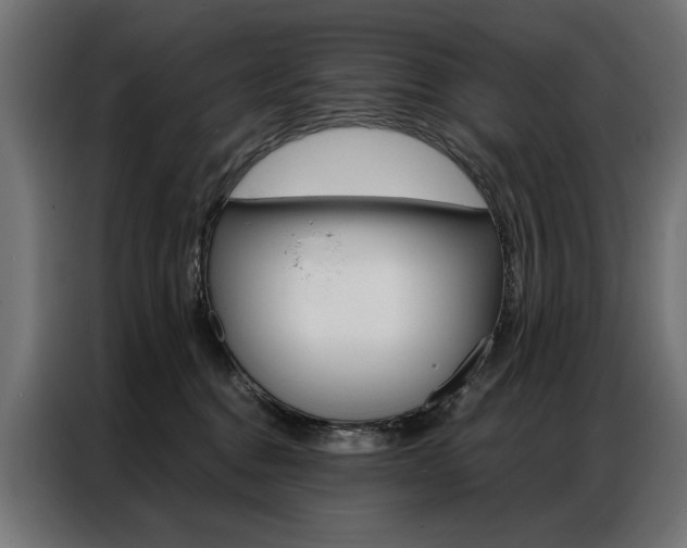 X0000086950376200704161102