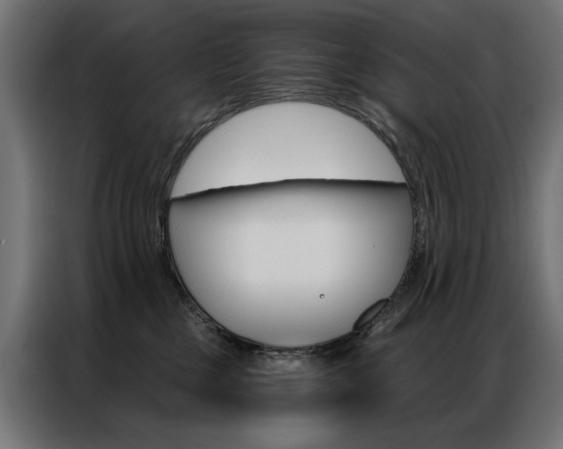 X0000086950377200704161102