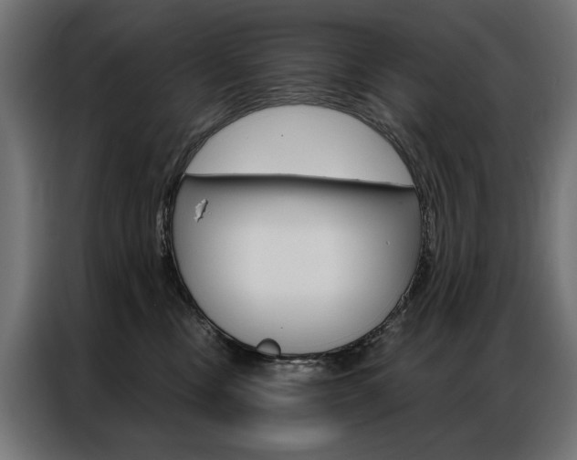 X0000086950378200704161102