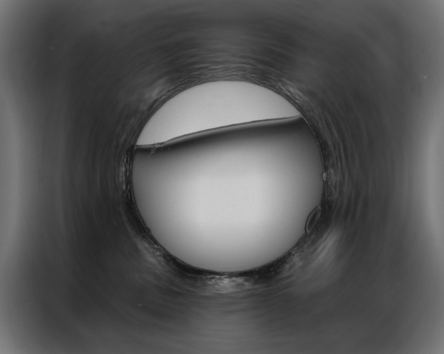 X0000086950379200704161102