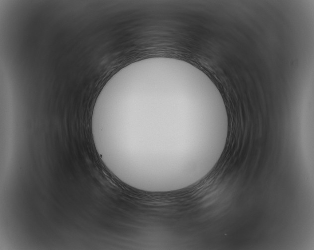 X0000086950380200704161102