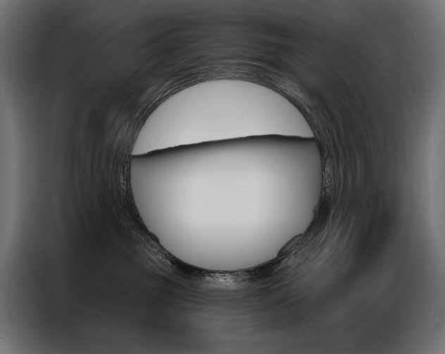 X0000086950381200704161102