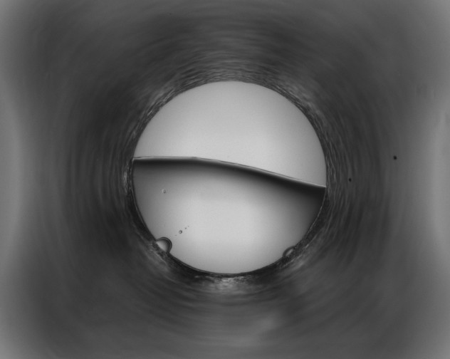 X0000086950382200704161102