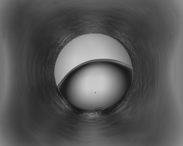 X0000086950384200704161102