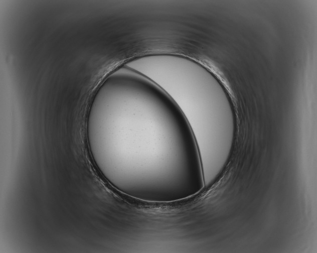 X0000086950385200704161102