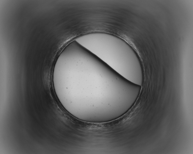 X0000086950386200704161102