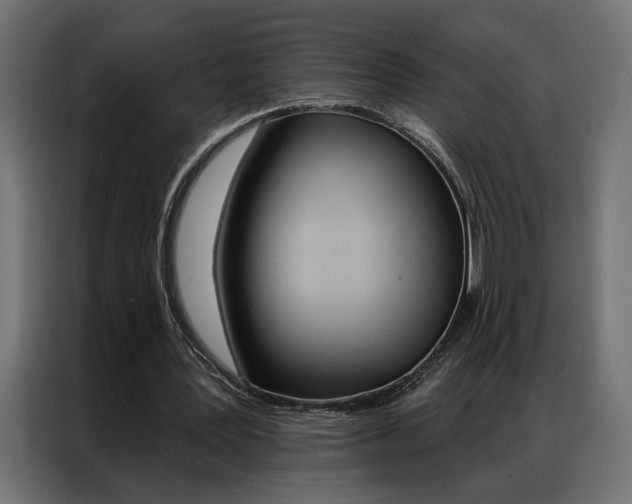 X0000086950387200704161102