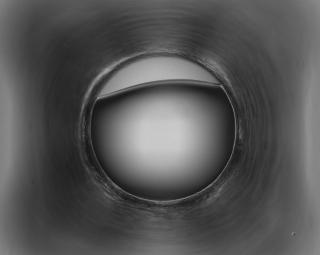 X0000086950388200704161102