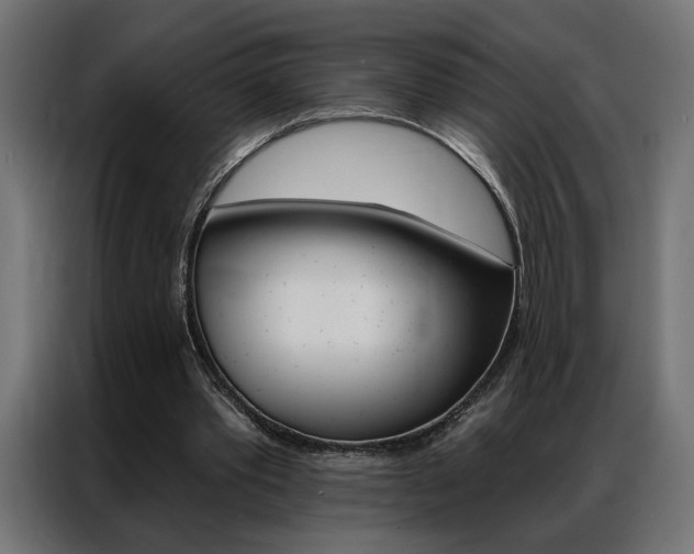 X0000086950389200704161102