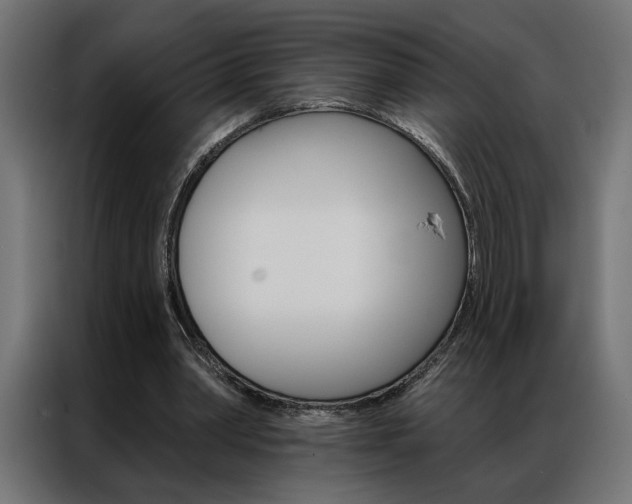 X0000086950390200704161102