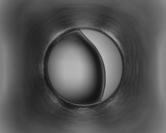 X0000086950391200704161102