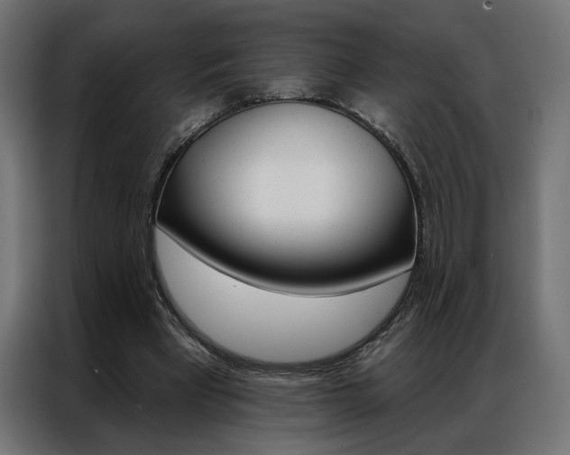 X0000086950393200704161102