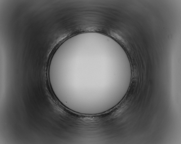 X0000086950394200704161102