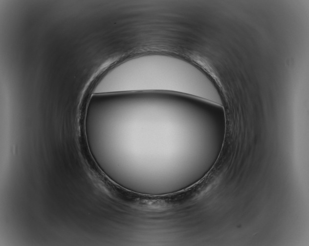 X0000086950395200704161102