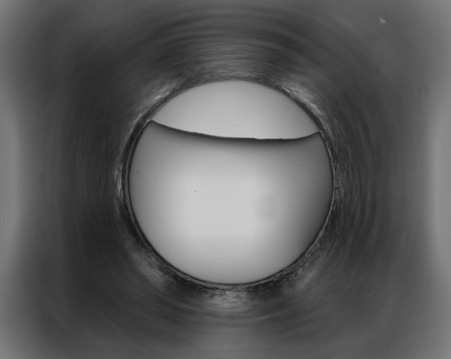 X0000086950398200704161102