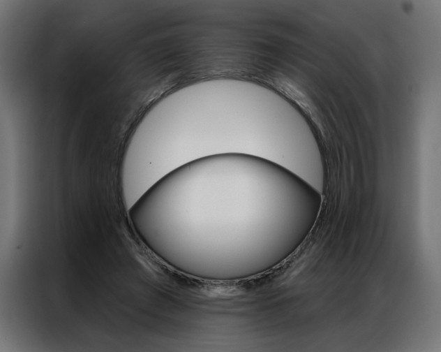 X0000086950401200704161101