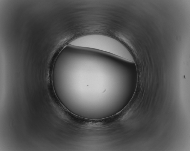 X0000086950403200704161101