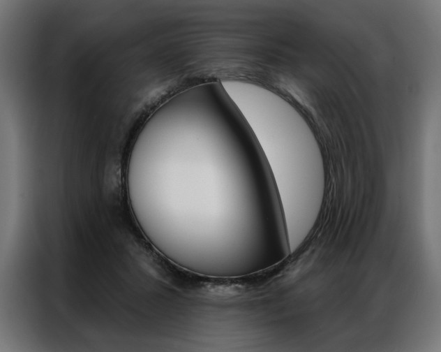 X0000086950407200704161101