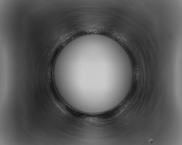 X0000086950408200704161101