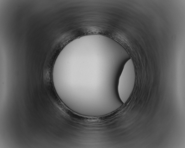 X0000086950410200704161101